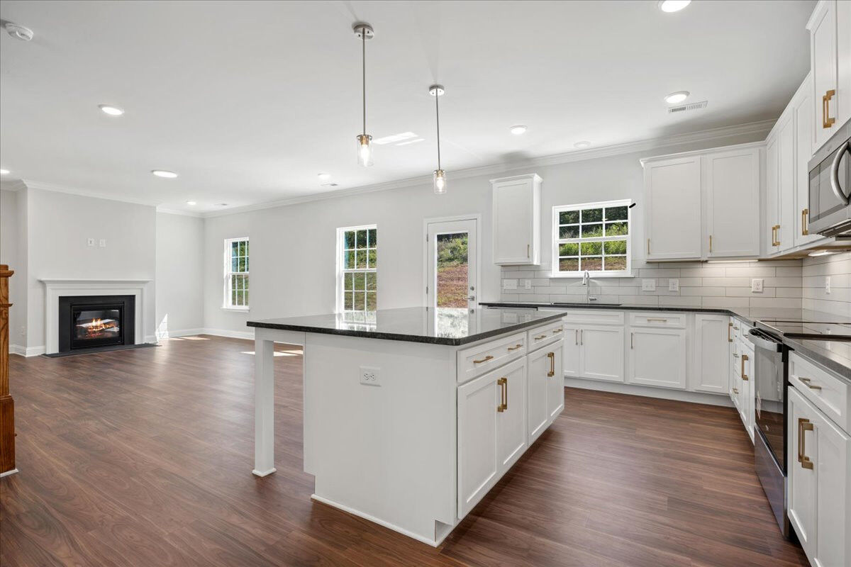 https://assets.windsorhomes.us/img/CCK_lot74_Cameron_elvD_4090_Stallion_St_kitchen_2.jpg